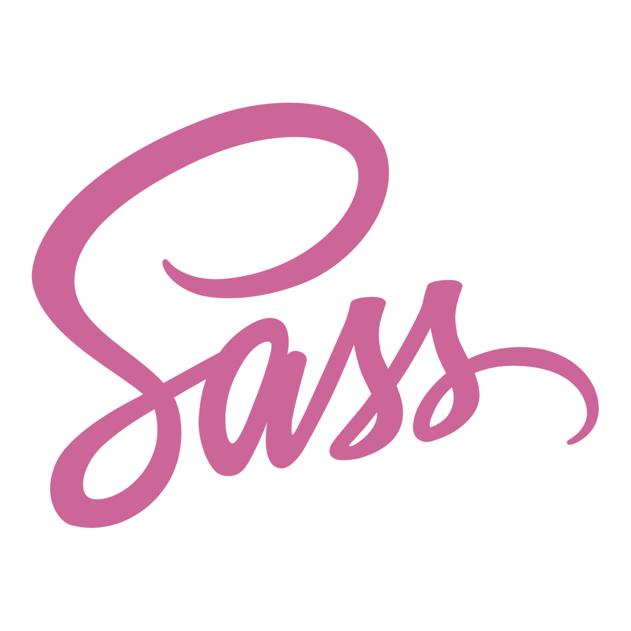 SASS & SCSS